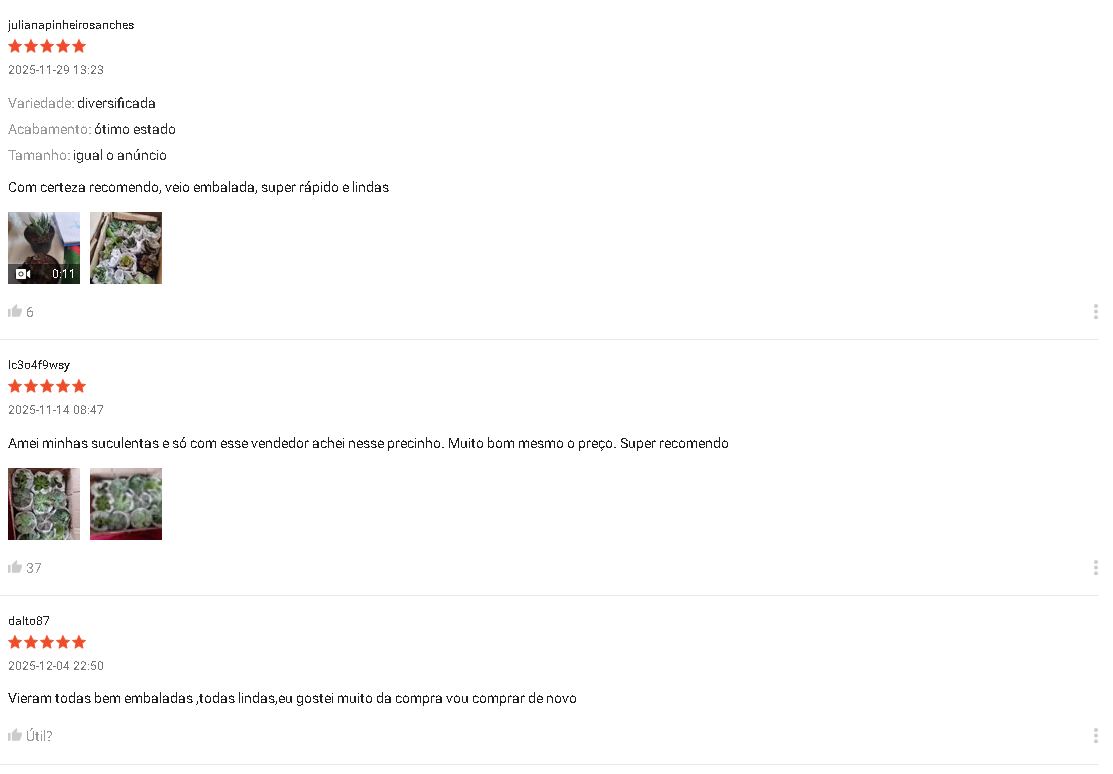 Captura de tela com avaliações de 5 estrelas na Shopee mostrando fotos de clientes com suculentas que chegaram bem embaladas e saudáveis.