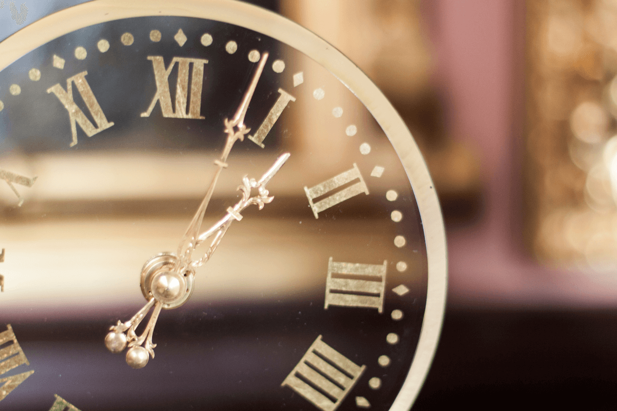 quanto-tempo-leva-para-uma-folha-de-suculenta-brotar quanto-tempo-leva-para-uma-folha-de-suculenta-brotar