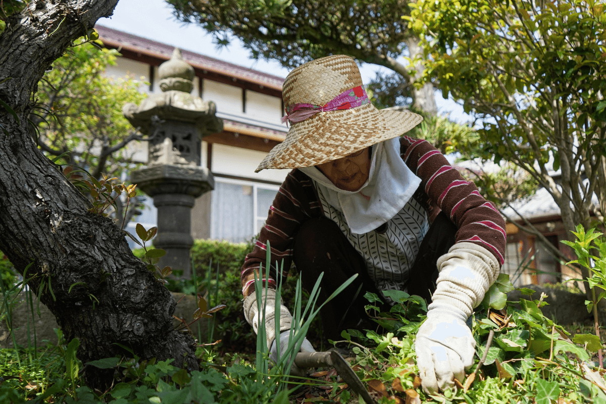 A jardinagem é a manutenção diária que evita a morte do projeto Jardineira realizando a limpeza manual de ervas daninhas próximo a uma lanterna de pedra, ilustrando a dedicação prática da jardinagem necessária para evitar o erro comum de abandonar o projeto paisagístico.