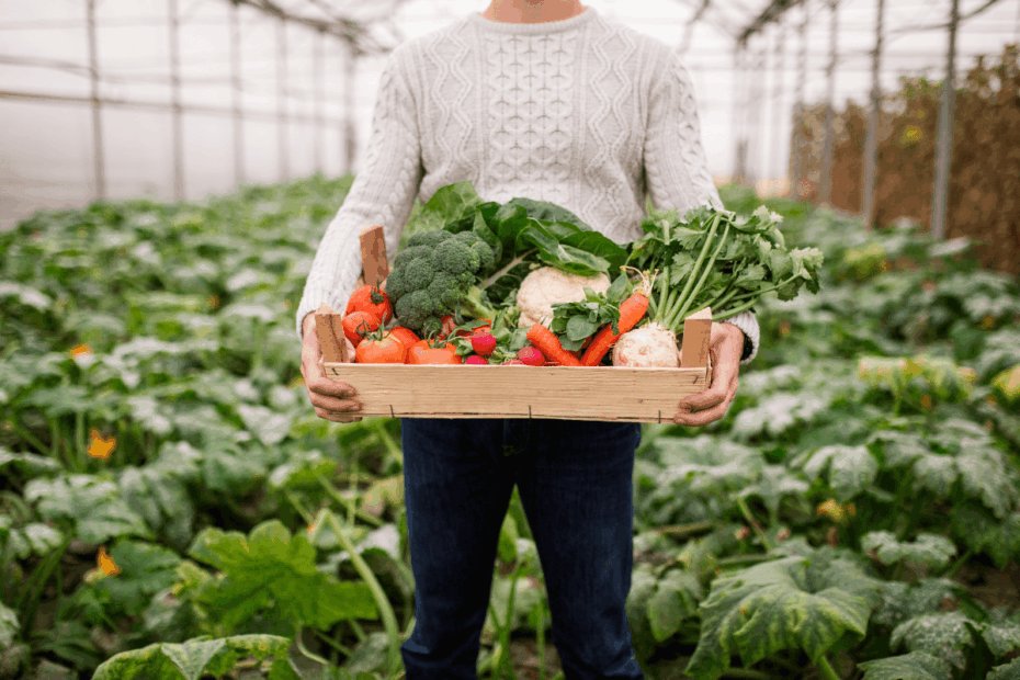 Homem em pé segurando uma caixa de madeira cheia de vegetais frescos e coloridos, como tomates, brócolis e cenouras, simbolizando a colheita saudável de um jardim orgânico livre de agrotóxicos.