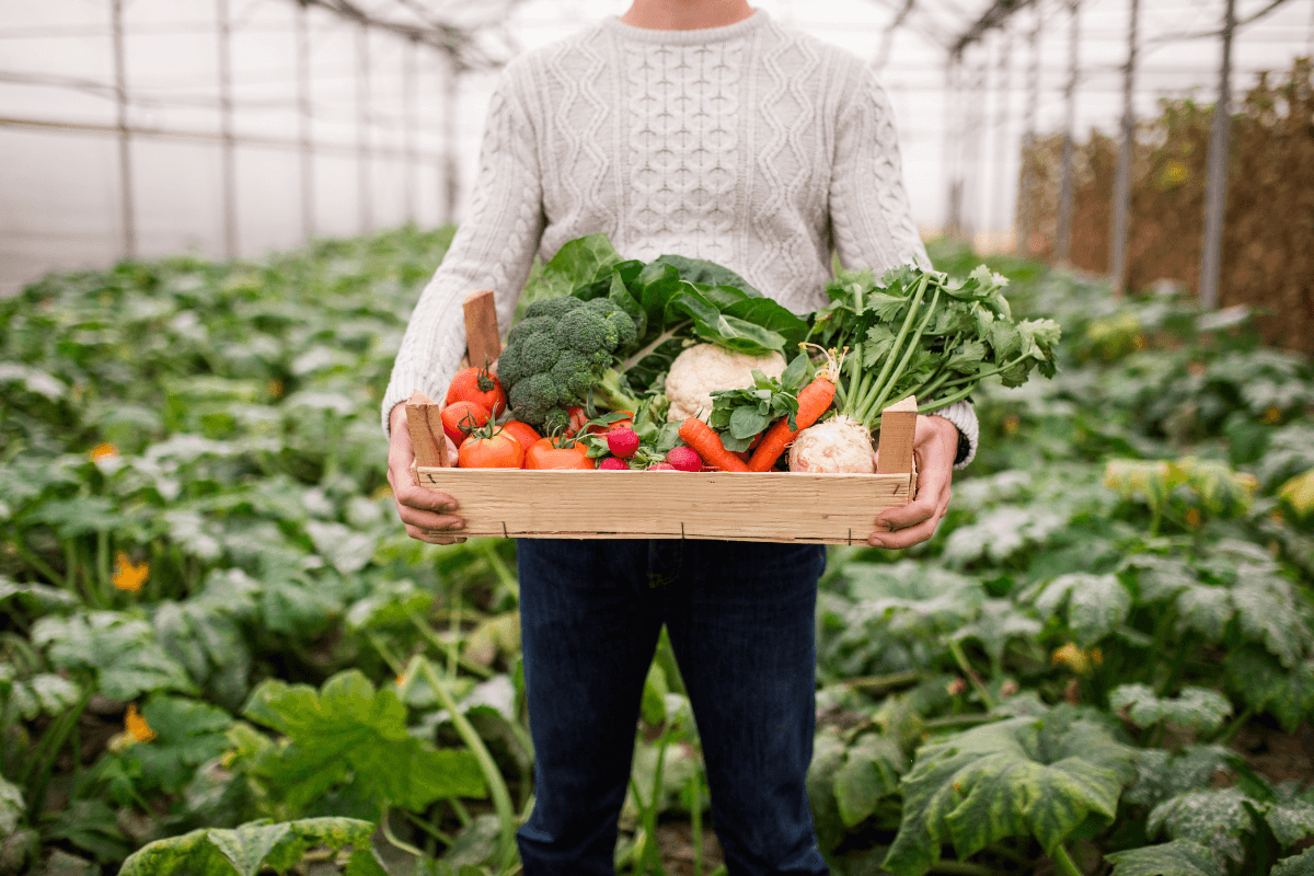 Homem em pé segurando uma caixa de madeira cheia de vegetais frescos e coloridos, como tomates, brócolis e cenouras, simbolizando a colheita saudável de um jardim orgânico livre de agrotóxicos.