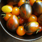 Vista superior de uma tigela repleta de tomates de diversas cores e formatos brilhantes sobre mesa de madeira, ilustrando a vitalidade visual e a diversidade ao explicar o que são plantas orgânicas.