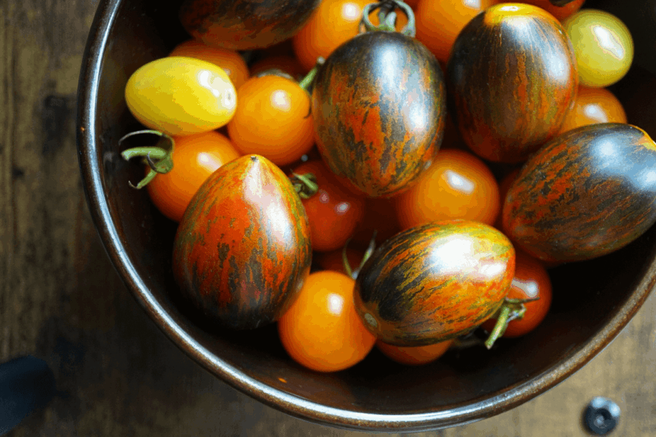 Vista superior de uma tigela repleta de tomates de diversas cores e formatos brilhantes sobre mesa de madeira, ilustrando a vitalidade visual e a diversidade ao explicar o que são plantas orgânicas.