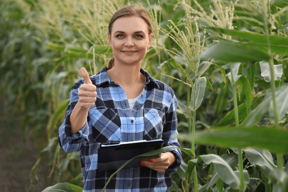 A responsabilidade técnica e legal do engenheiro agrônomo Engenheira agrônoma segurando uma prancheta em meio a uma plantação, fazendo sinal de positivo, ilustrando o papel técnico de vistoria, diagnóstico e receituário que diferencia o agrônomo do jardineiro.