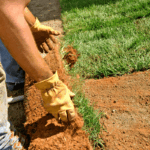 Detalhe das mãos de um jardineiro usando luvas de proteção para instalar tapetes de grama no solo, ilustrando a etapa prática ao explicar qual é a diferença entre paisagismo e jardinagem.