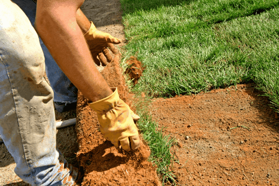 Detalhe das mãos de um jardineiro usando luvas de proteção para instalar tapetes de grama no solo, ilustrando a etapa prática ao explicar qual é a diferença entre paisagismo e jardinagem.